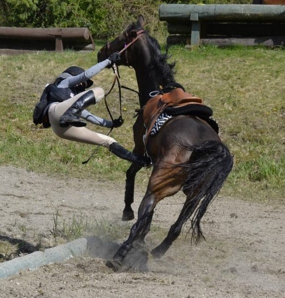 Top 5 Reasons Why Equestrians Should Invest in a Quality Safety Air Vest